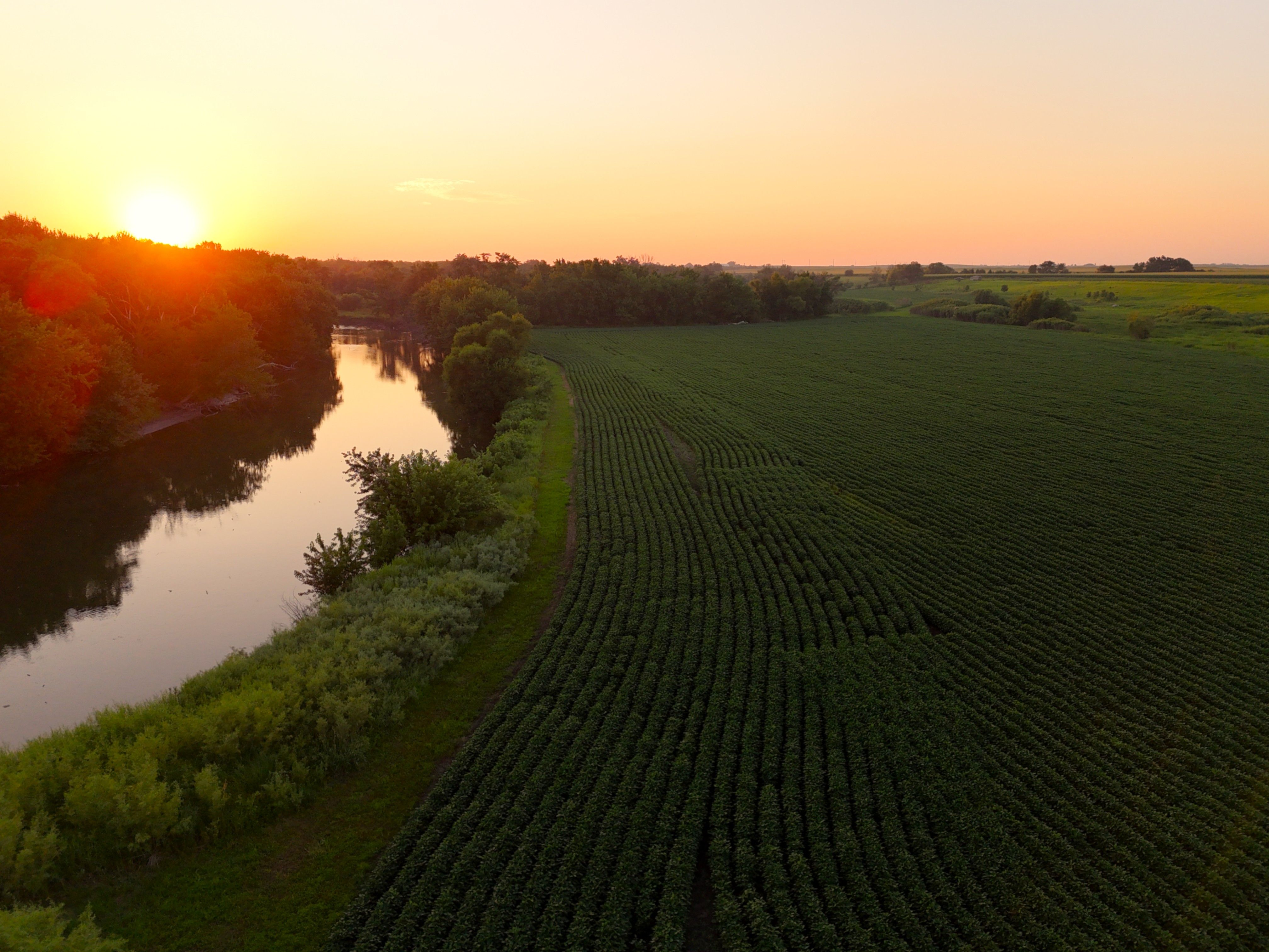 Listing Photo: Mid Air 18 - River and Field